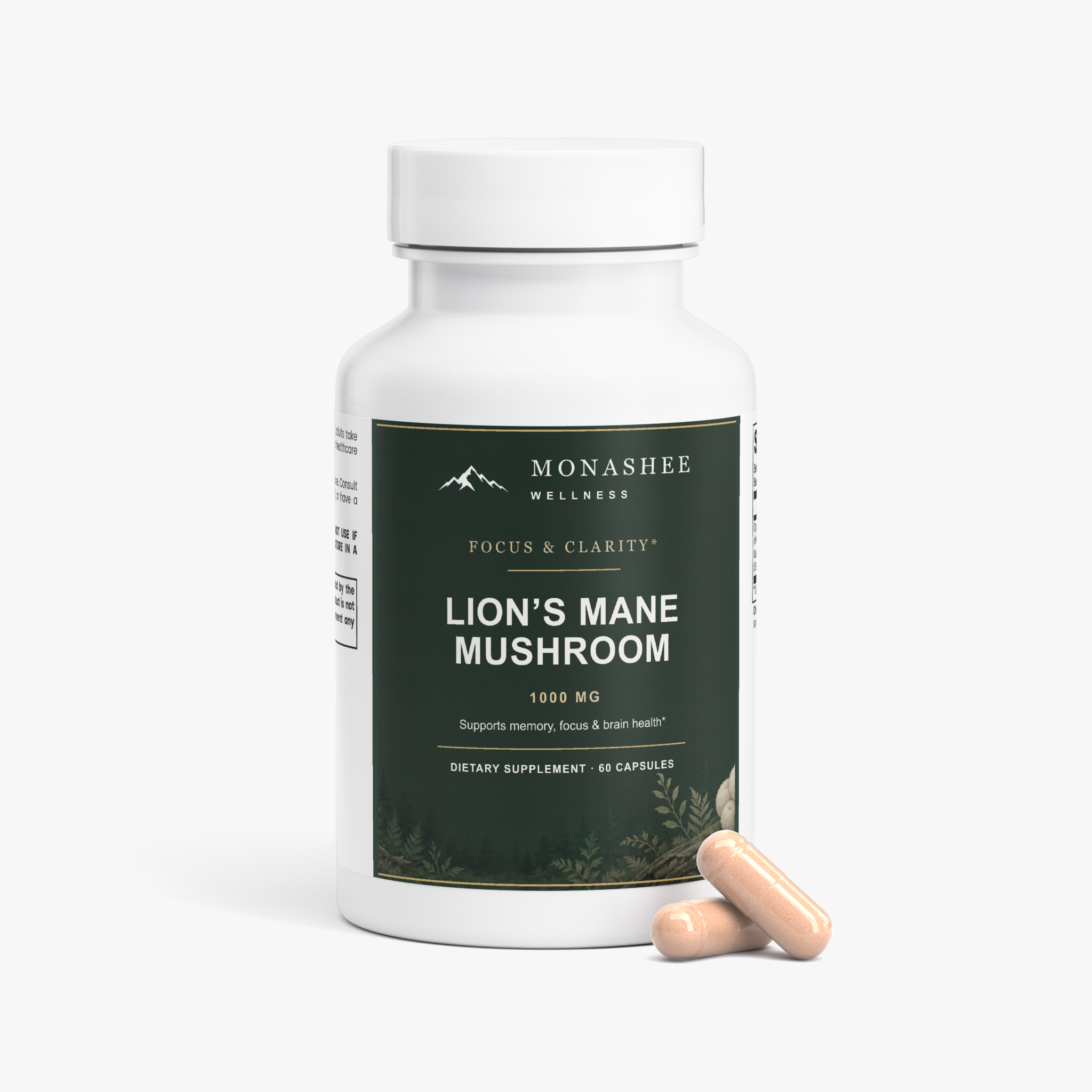 Lion’s Mane Mushroom – Focus & Clarity