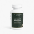 Lion’s Mane Mushroom – Focus & Clarity