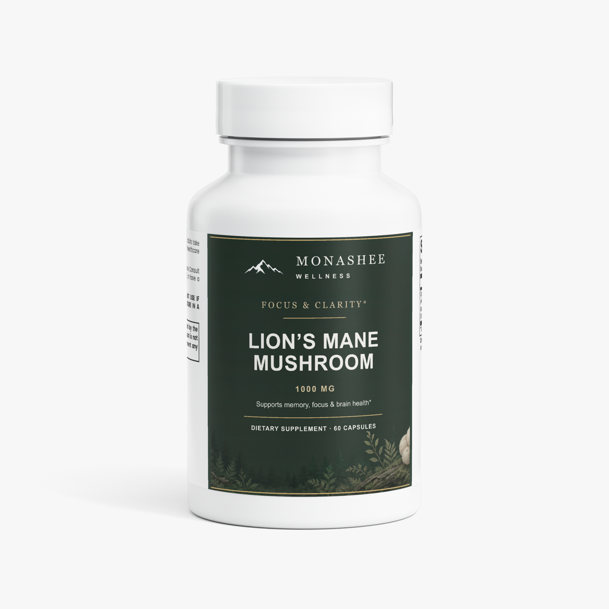 Lion’s Mane Mushroom – Focus & Clarity